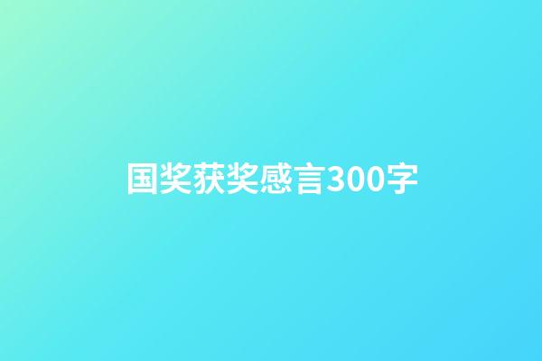 国奖获奖感言300字