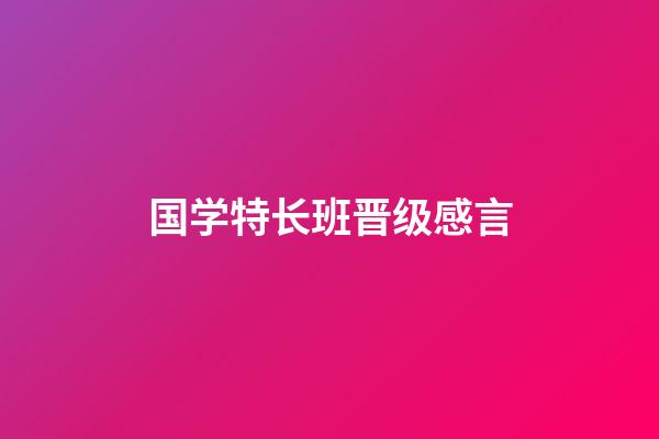 国学特长班晋级感言