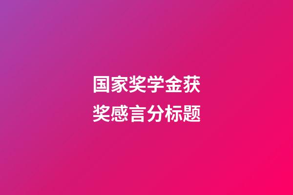 国家奖学金获奖感言分标题