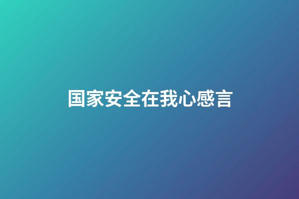 国家安全在我心感言