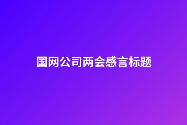 国网公司两会感言标题