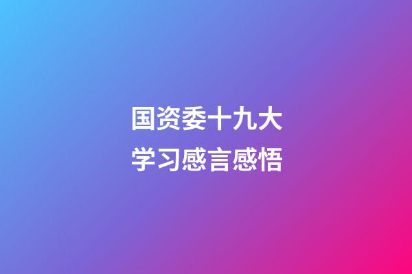 国资委十九大学习感言感悟