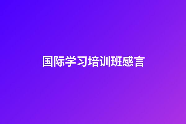 国际学习培训班感言