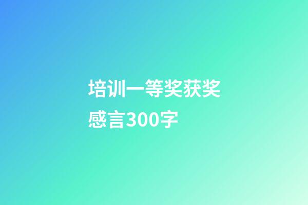 培训一等奖获奖感言300字