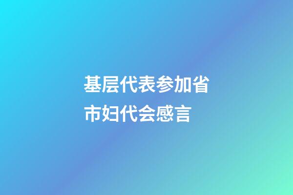 基层代表参加省市妇代会感言