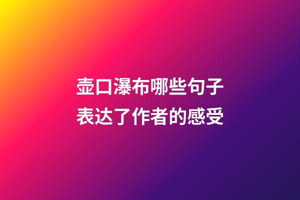 壶口瀑布哪些句子表达了作者的感受