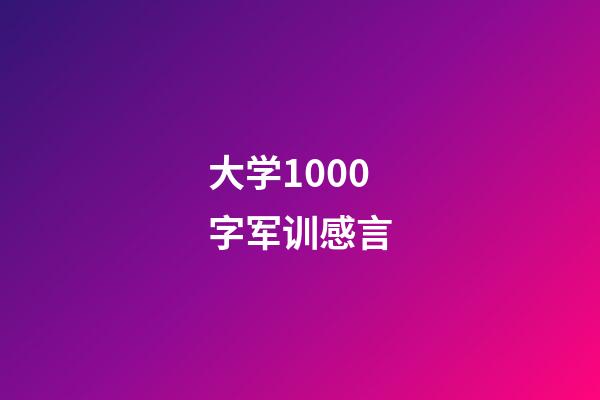 大学1000字军训感言