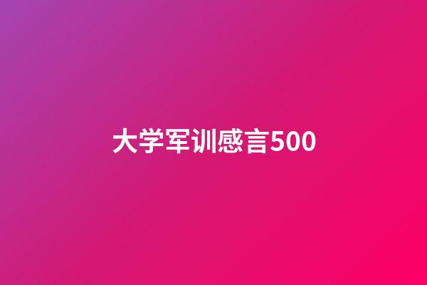 大学军训感言500