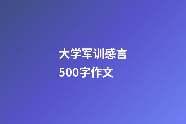 大学军训感言500字作文