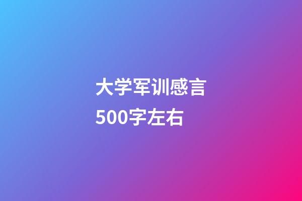 大学军训感言500字左右