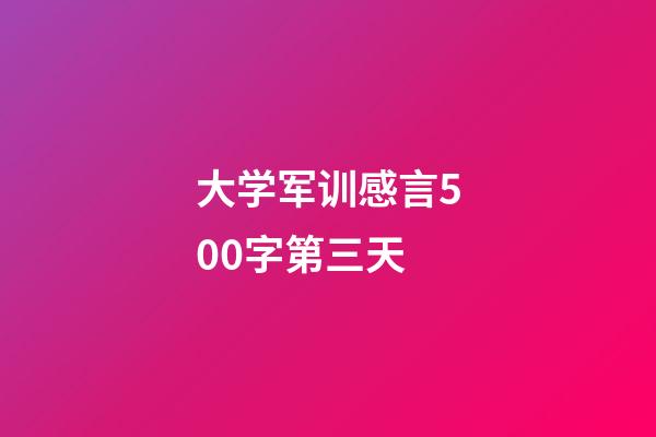 大学军训感言500字第三天