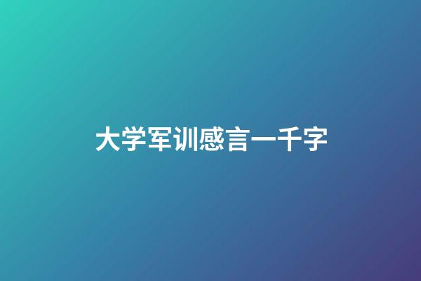 大学军训感言一千字