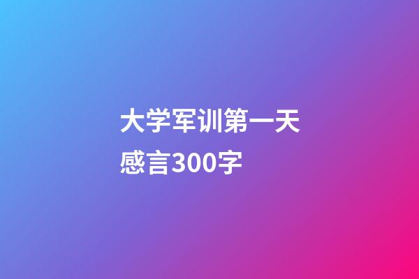 大学军训第一天感言300字