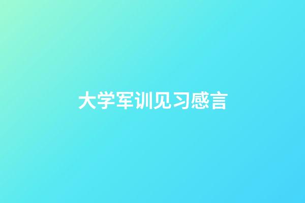 大学军训见习感言