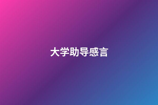 大学助导感言