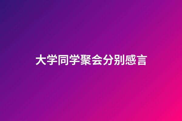 大学同学聚会分别感言