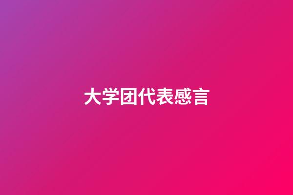 大学团代表感言