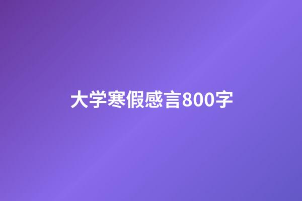 大学寒假感言800字