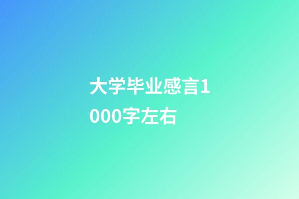 大学毕业感言1000字左右