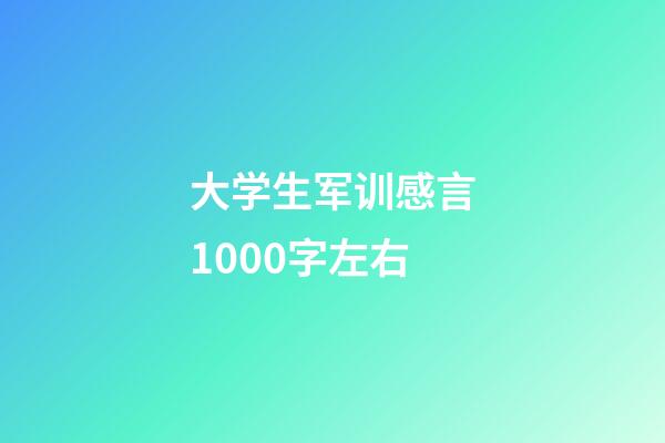 大学生军训感言1000字左右