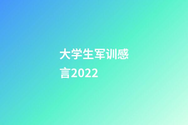 大学生军训感言2022