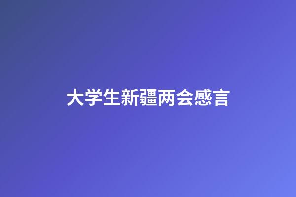 大学生新疆两会感言