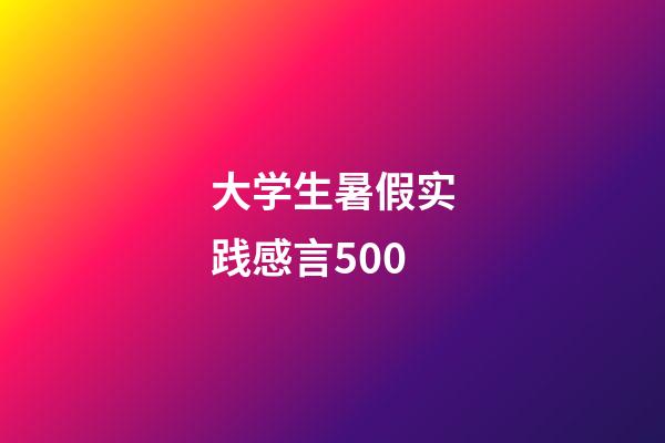 大学生暑假实践感言500