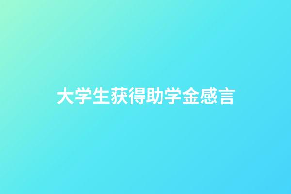 大学生获得助学金感言