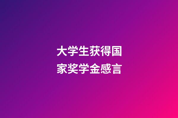 大学生获得国家奖学金感言