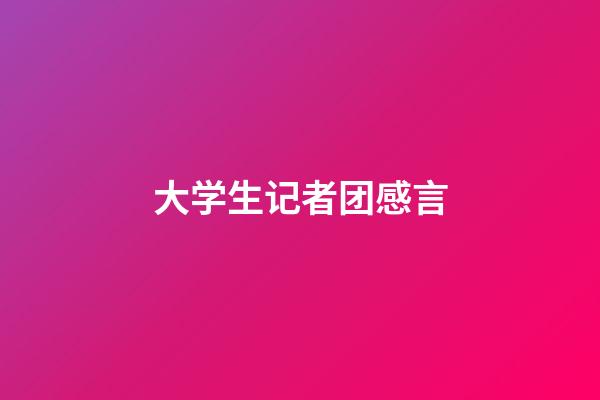 大学生记者团感言