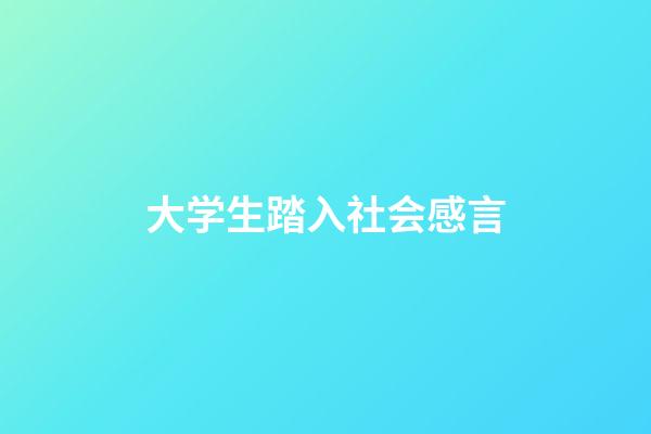 大学生踏入社会感言