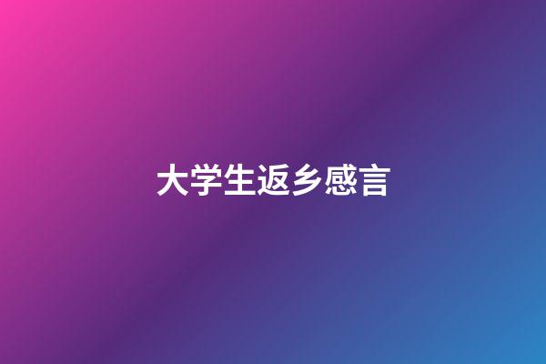 大学生返乡感言