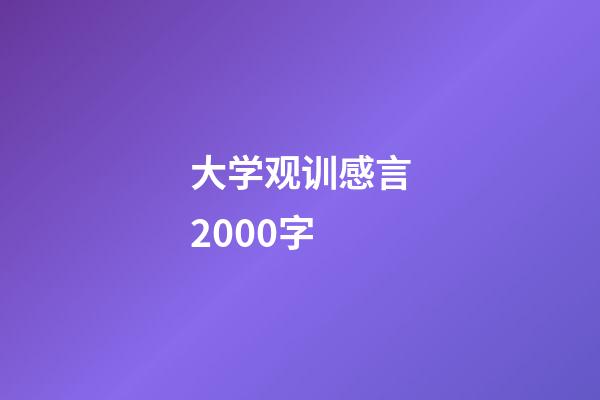 大学观训感言2000字