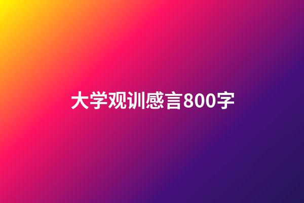 大学观训感言800字