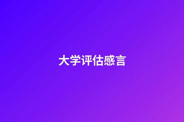 大学评估感言