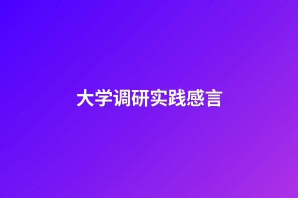 大学调研实践感言