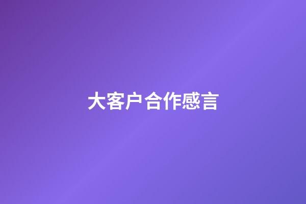 大客户合作感言