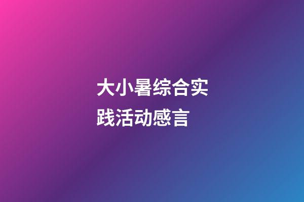 大小暑综合实践活动感言