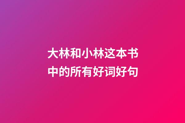 大林和小林这本书中的所有好词好句