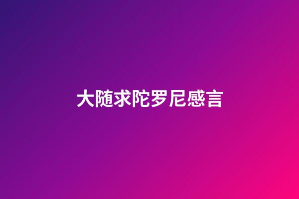 大随求陀罗尼感言