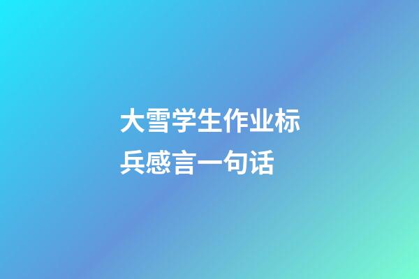 大雪学生作业标兵感言一句话