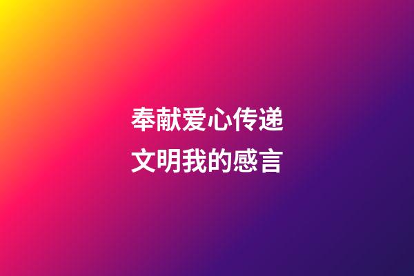 奉献爱心传递文明我的感言