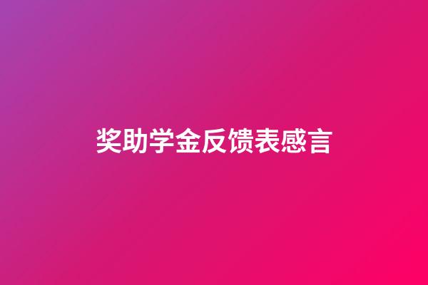 奖助学金反馈表感言