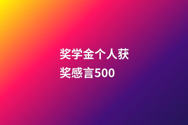 奖学金个人获奖感言500