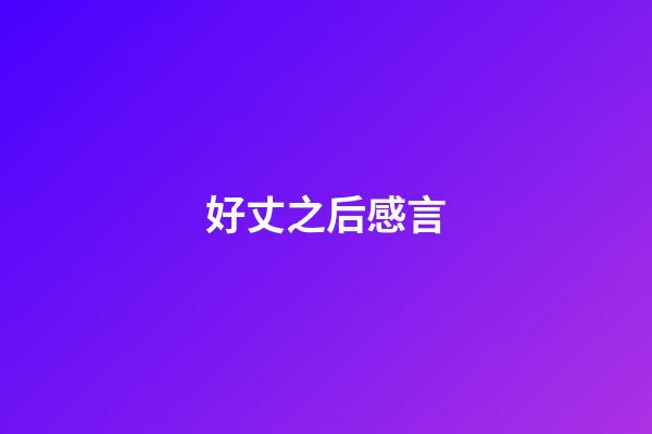 好丈之后感言