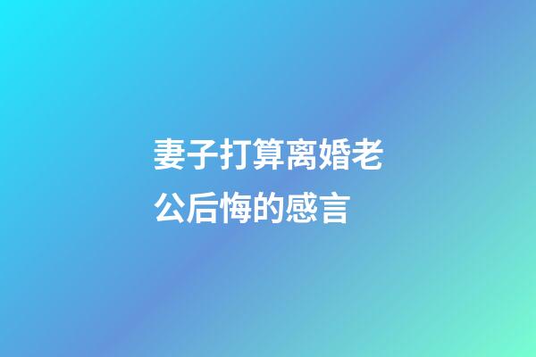 妻子打算离婚老公后悔的感言