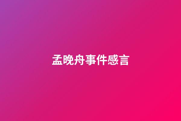 孟晚舟事件感言