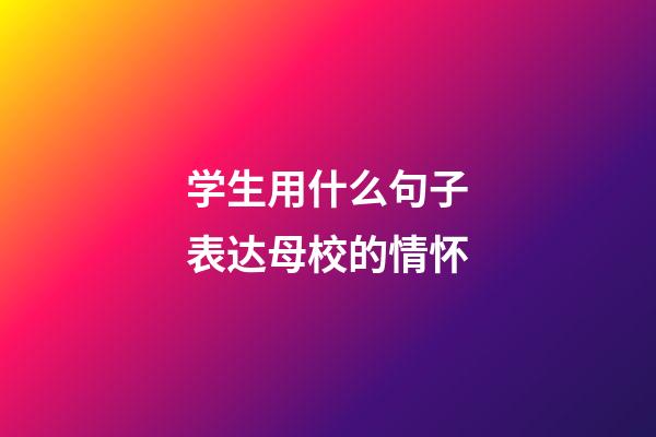 学生用什么句子表达母校的情怀