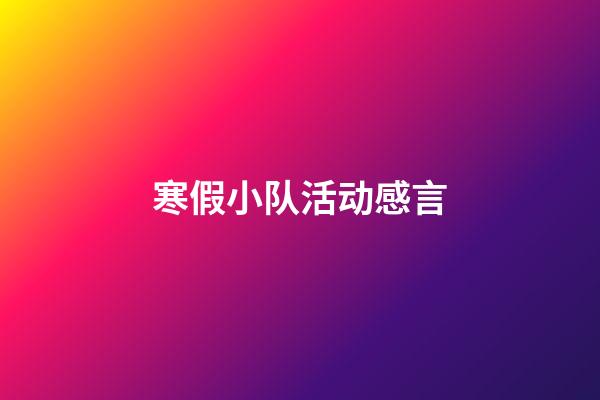 寒假小队活动感言