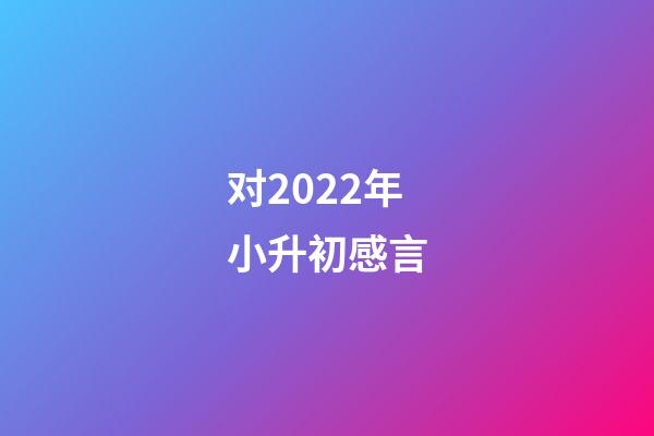 对2022年小升初感言